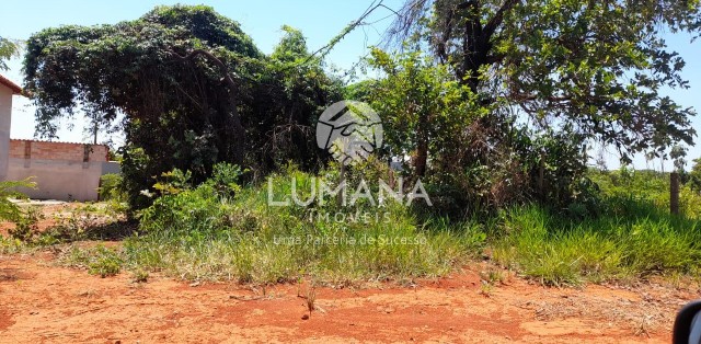 Lote 360 m²